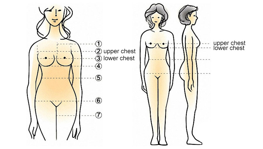 Upper Bust or Upper Chest Circumference 